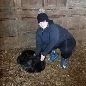 Meet your Posher, Dawn